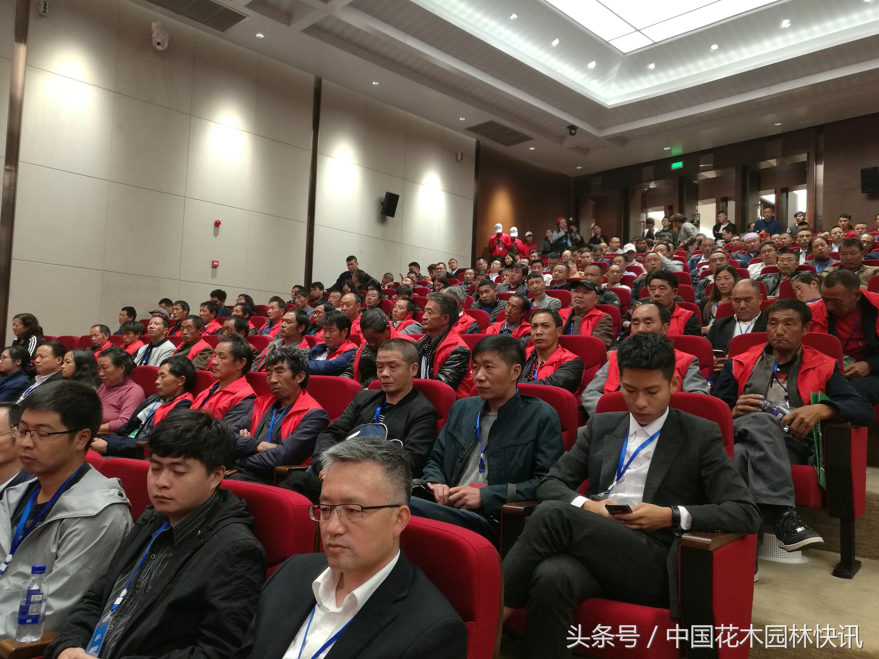 进口波兰苹果，美味与健康的选择