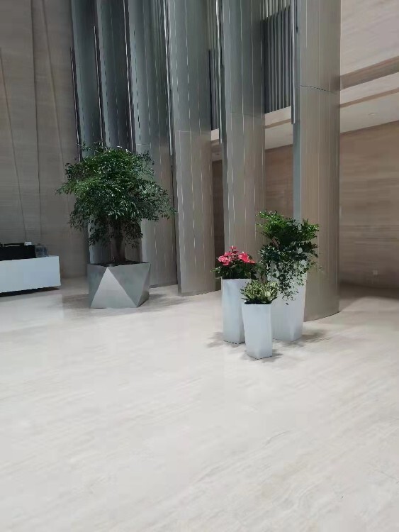 室内植物租赁，绿色生活的便捷之选