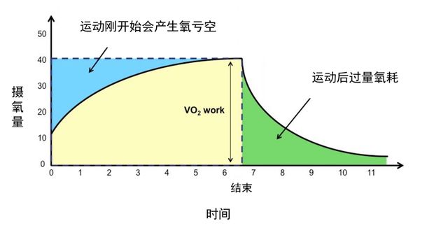 滤料直径，影响过滤效率的关键因素