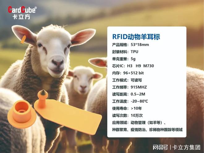科学养殖与科学用药，现代畜牧业的双重保障