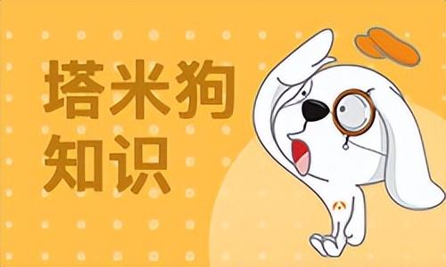 税务参考文献，探索税收领域的深度知识宝库