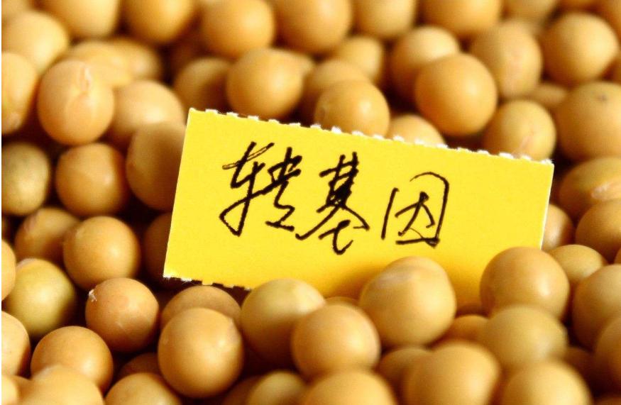 中国历年进口大豆数量的趋势与影响