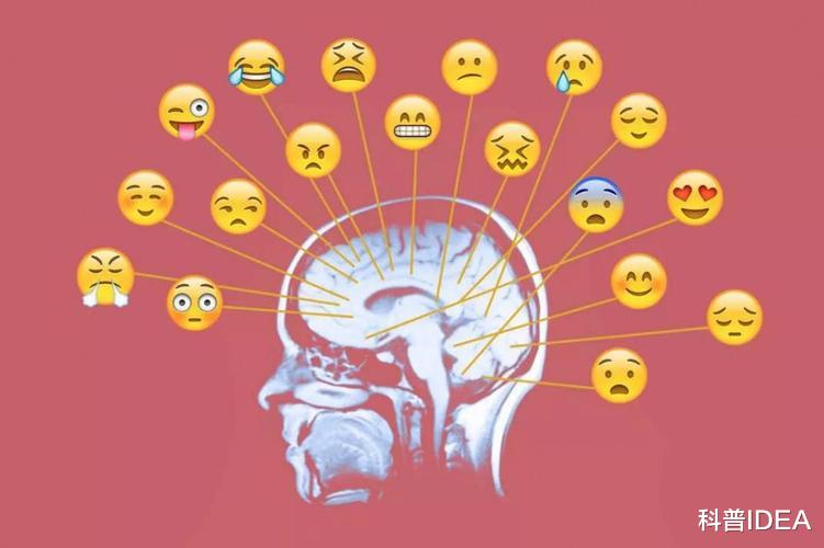 右脑人与情绪，探索情感世界的奥秘