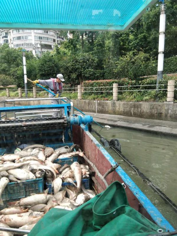 苏州氧气，城市之息，生活之魂