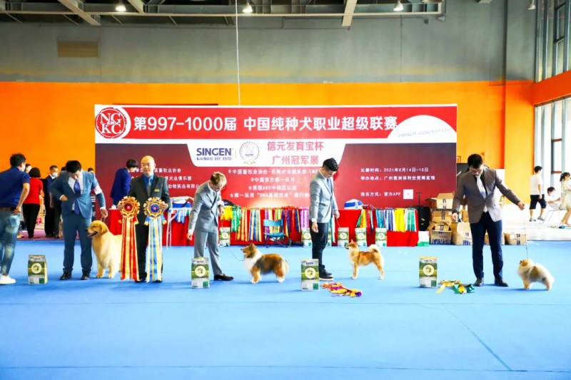 北京宠物博览会，探索人与宠物的无限可能