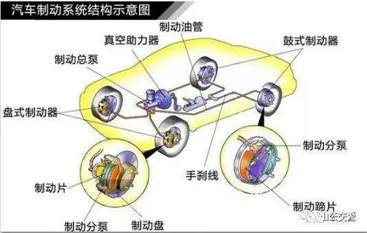 橡皮树落叶怎么办，原因分析及应对策略