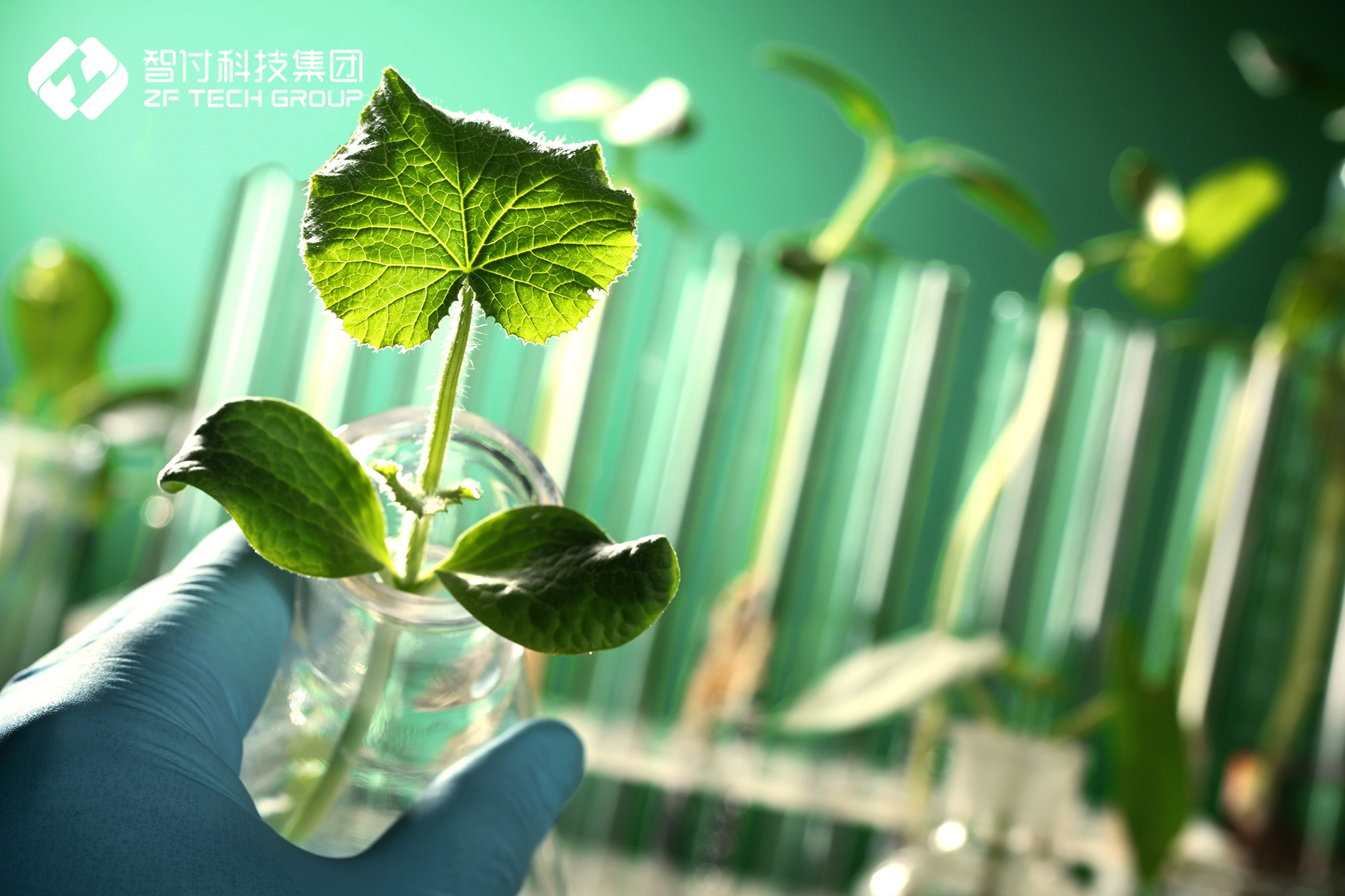 环保的德国的主要内容