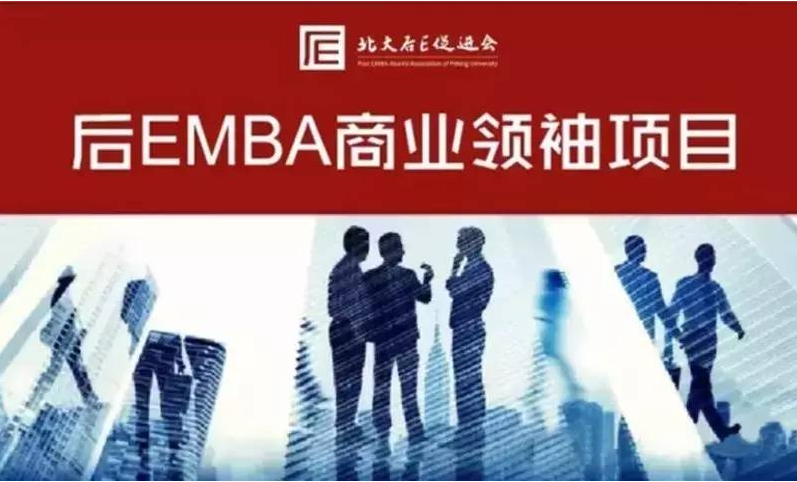 企业管理学院的崛起与挑战，塑造未来商业领袖的摇篮