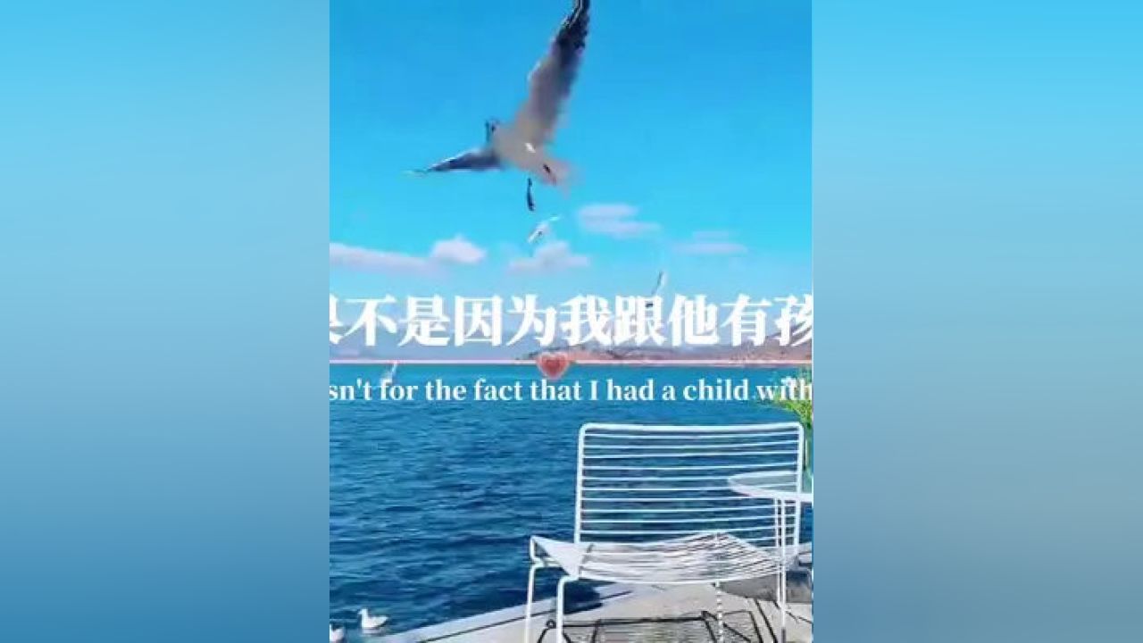 缘分与爱网站的美好交织