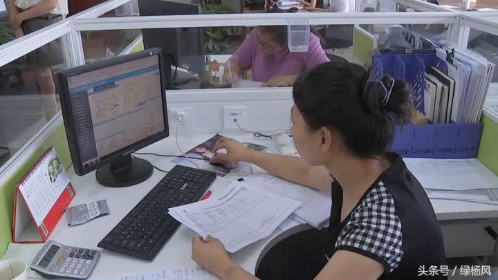 报关单集中申报清单，高效管理与操作指南