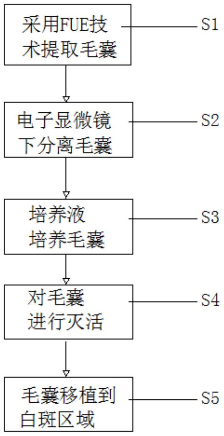 干细胞移植手术费用详解