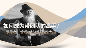 企业管理系，塑造卓越领导力和高效执行力的核心力量