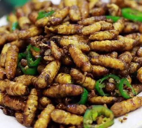 蜂蛹美味与健康兼备，最佳做法指南