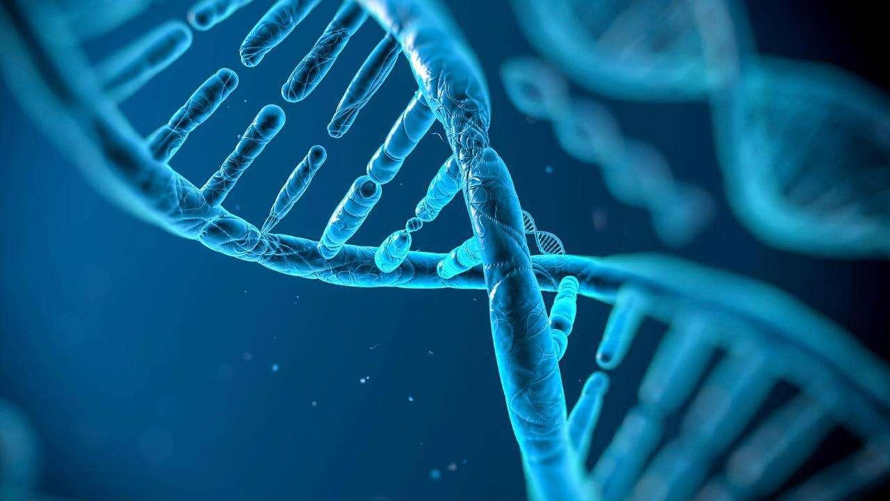 四季青血清灭活，一种重要的生物技术过程