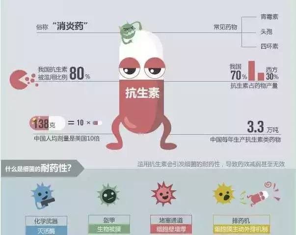 抗生素代谢时间，深入了解与关注