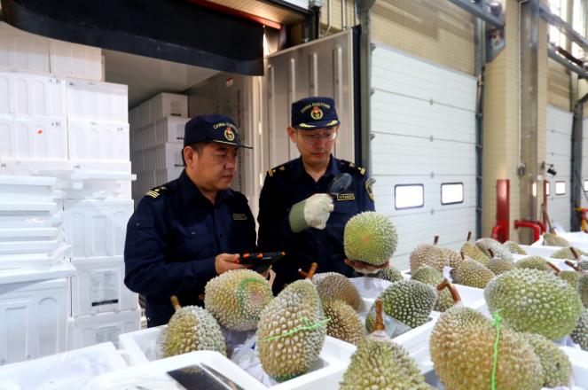 南沙国际冷链招标，引领冷链物流新时代的招标活动