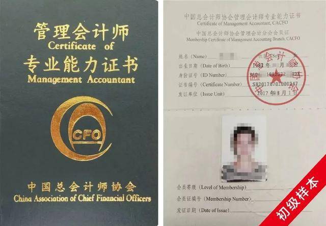 公司业务专用章的管理与应用，重要性、使用及风险控制