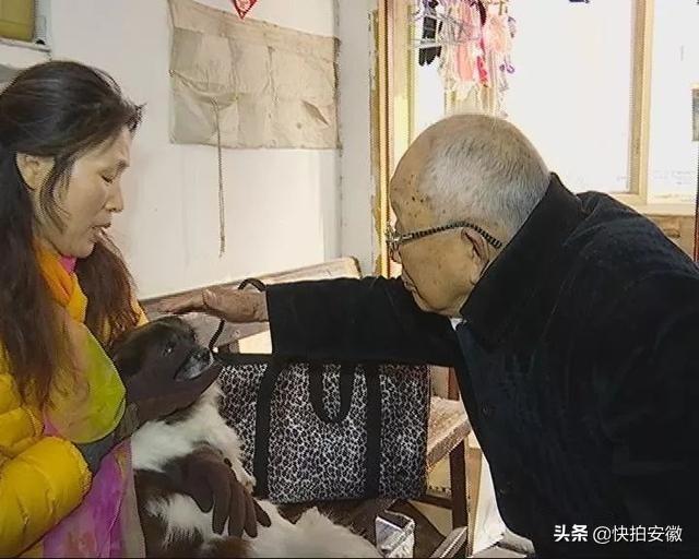 新生牛血清价格及其影响因素分析