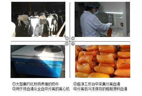 小牛血清的离心处理，过程、应用与前景