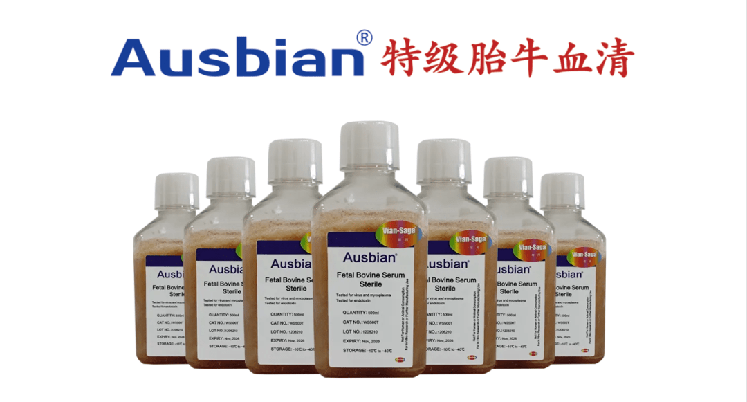 胎牛血清保质期的奥秘及其重要性