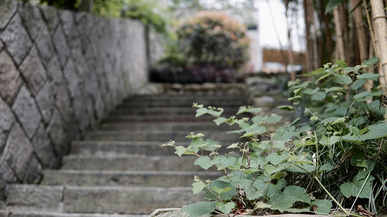 标准客房面积在现代酒店业中的重要性及其影响