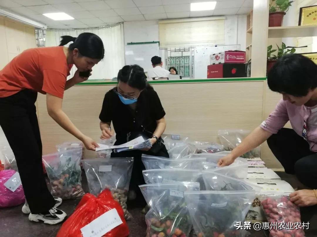 出境水果包装厂注册登记证书的重要性及其影响