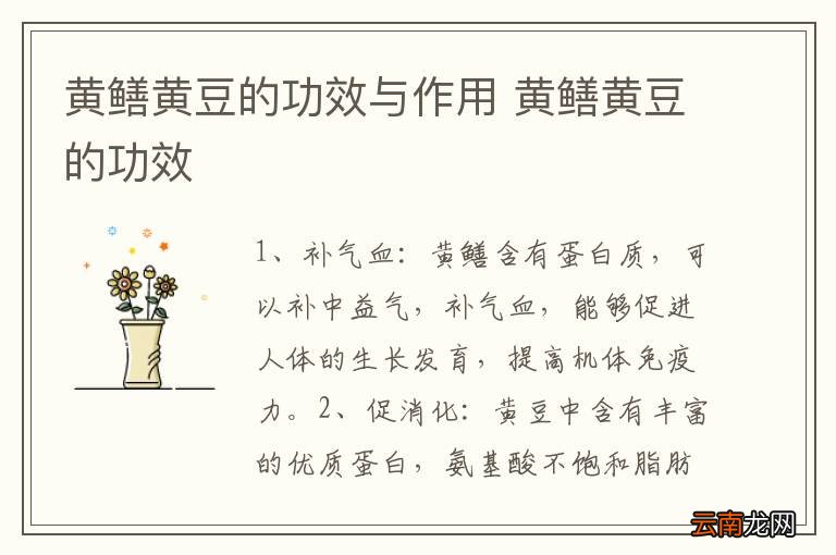 黄莲豆，揭示其强大功效与潜在价值