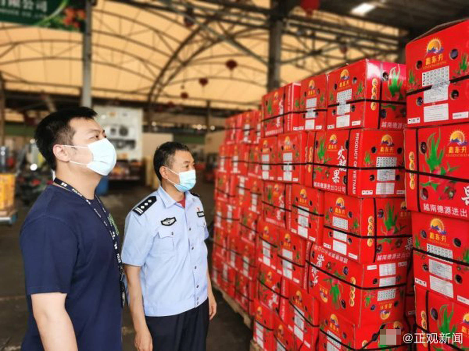 走私水果判罚，法律之剑下的警示与反思