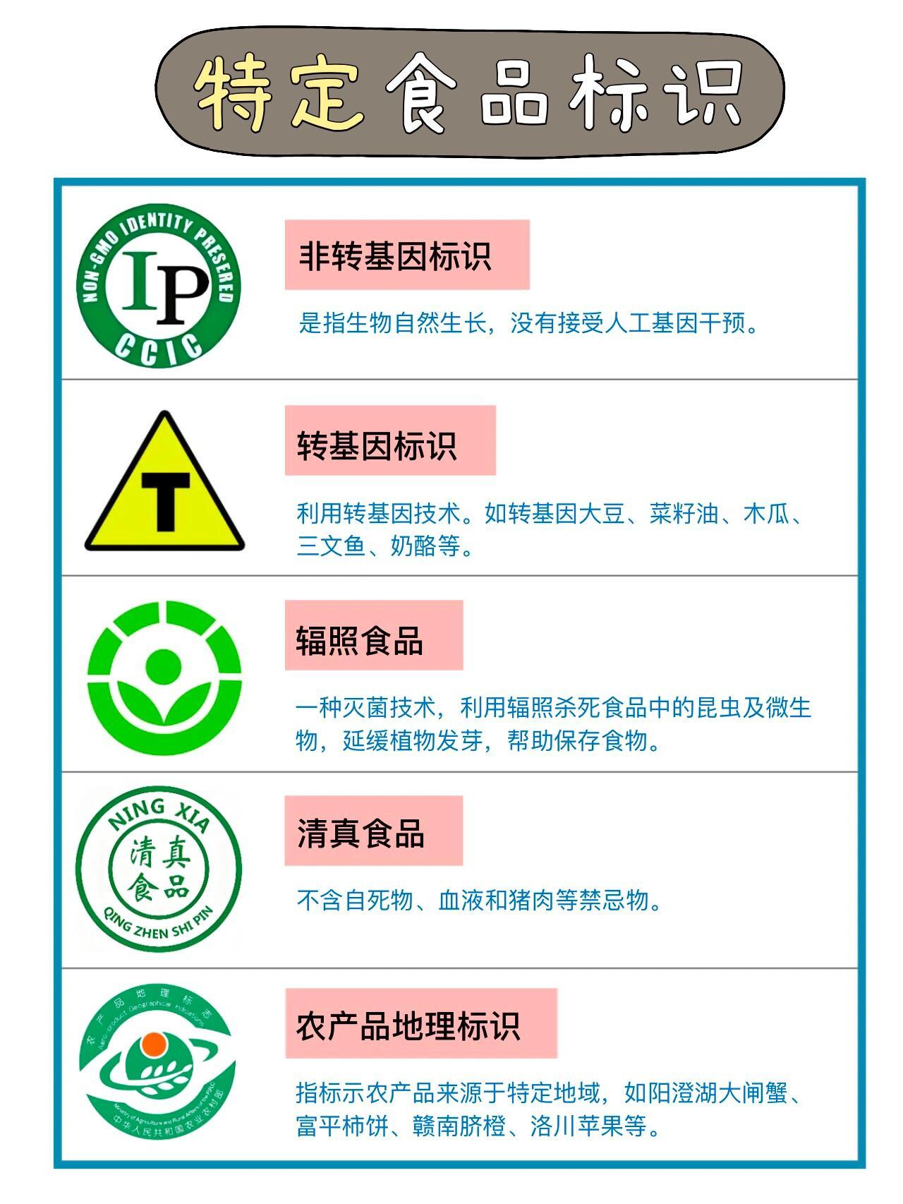 食品标签模板的设计与使用，理解其重要性与应用