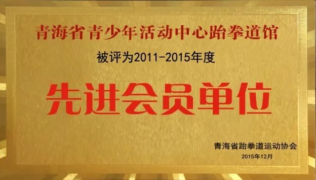 工程测量荣誉，铸就辉煌成就与无限荣耀