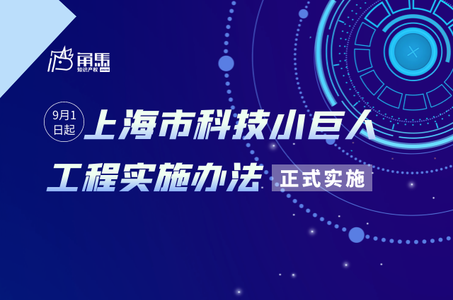 上海工程测量，技术前沿与实践洞察