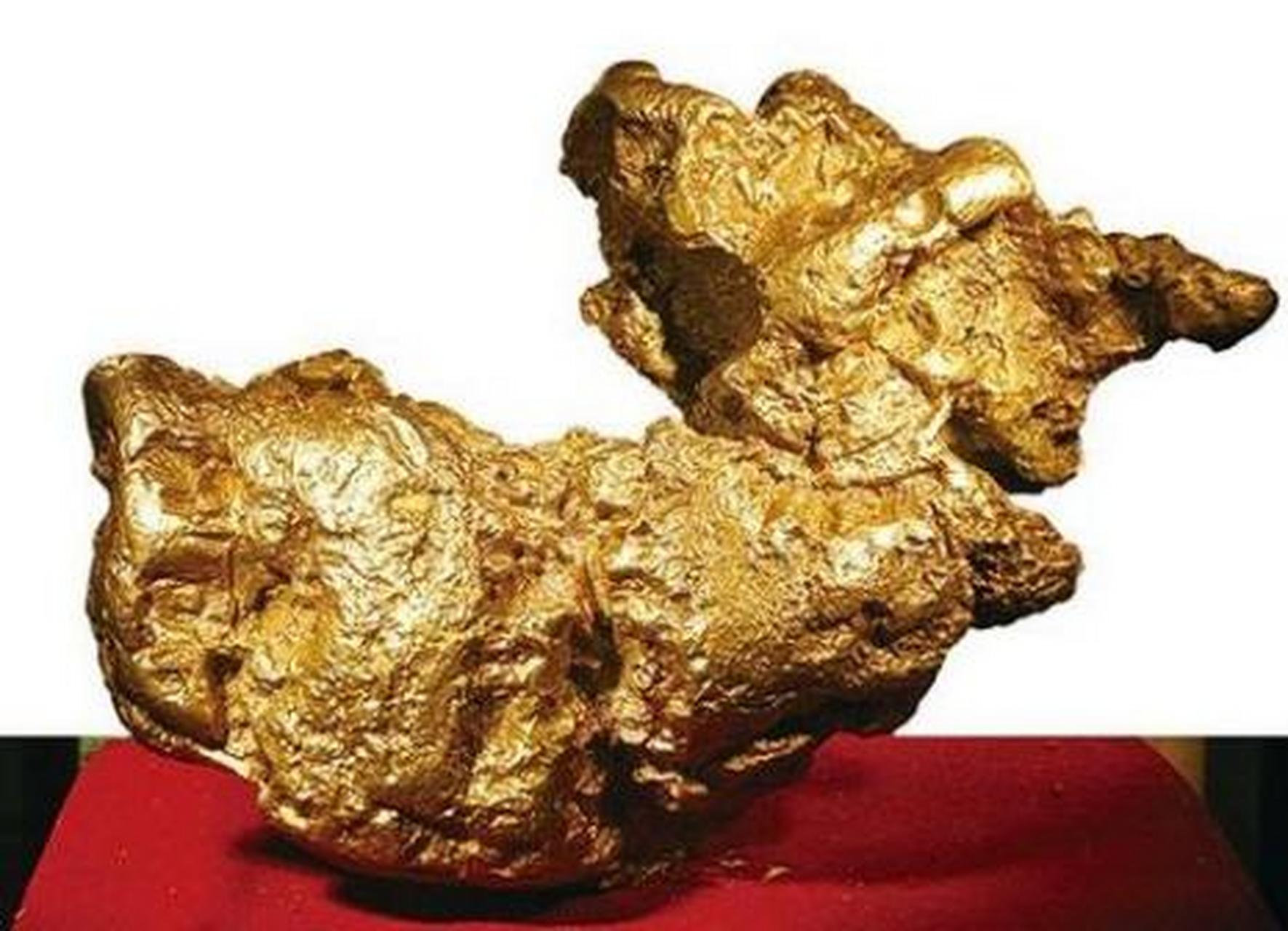 黄金藜，古老文明的瑰宝与现代生活的璀璨明珠