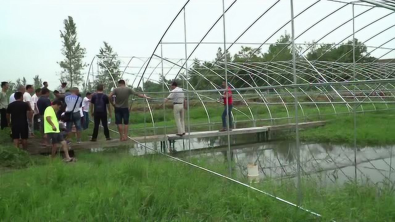大棚垂钓小龙虾生态园，探索生态休闲渔业新模式