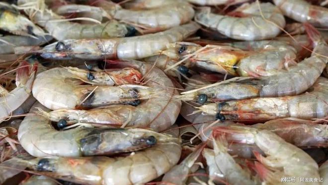 大棚养明虾60天出现死虾现象探究