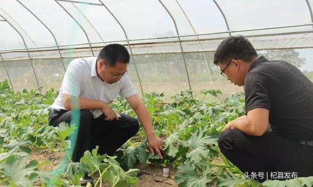 广东大棚虾，繁荣的水产新篇章