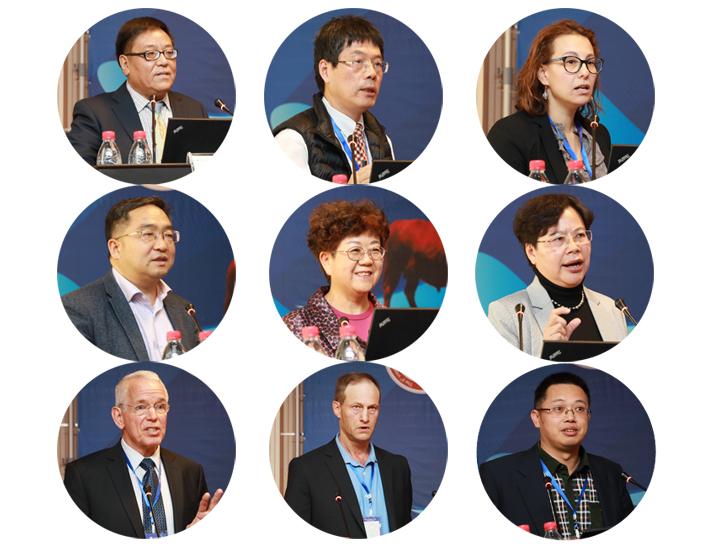 加拿大缺少哪个专业好，深度探讨加拿大教育体系的优势与未来专业需求缺口