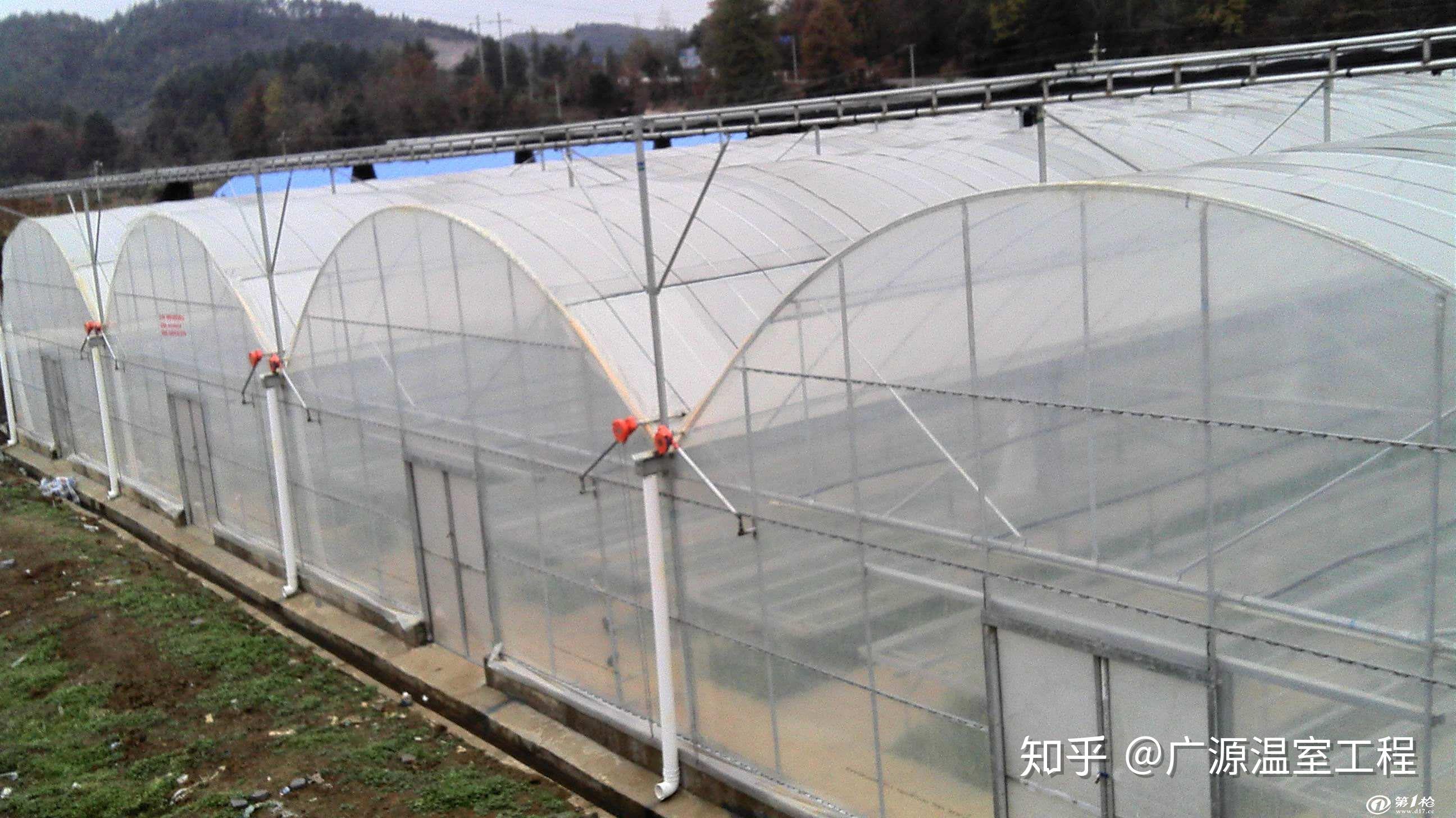 温室大棚养黄鳝，现代养殖技术下的新景象