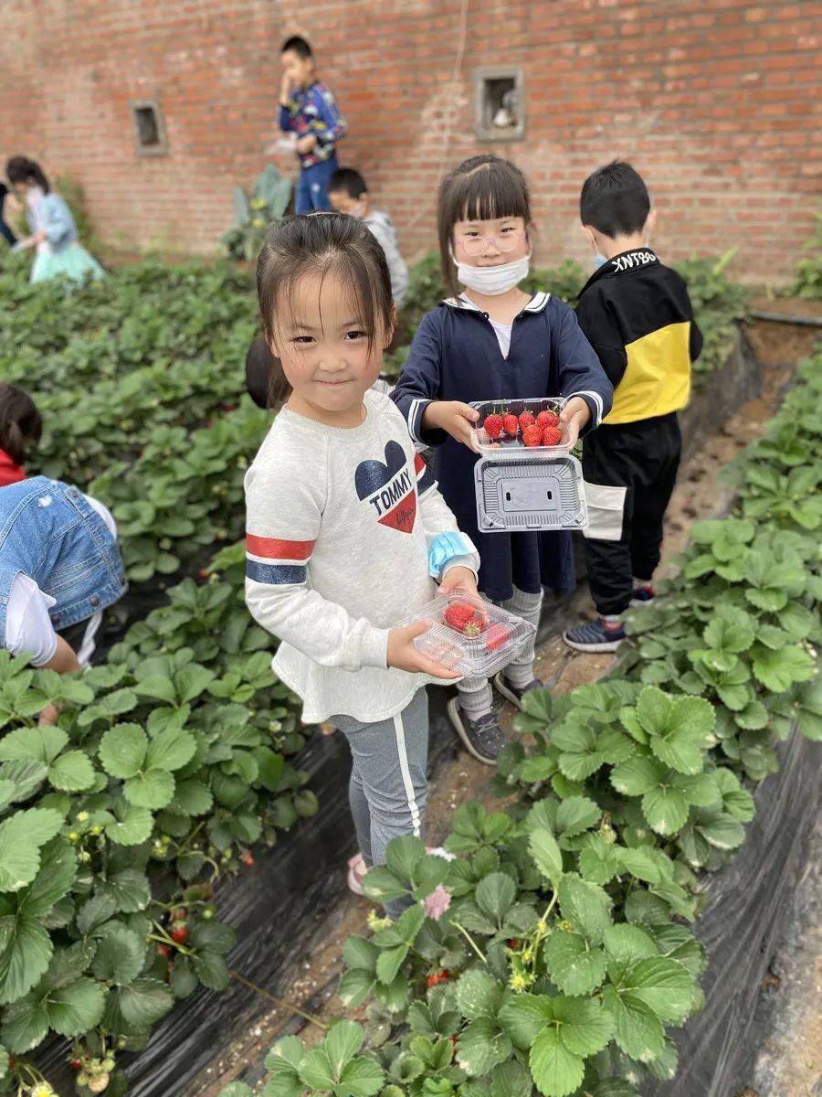 为移民选择合适的专业，开启全新生活之旅