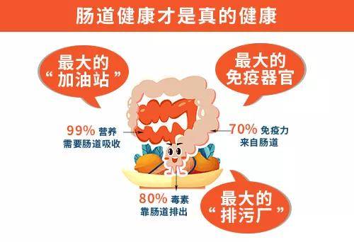 咨询小儿科肠道专家，了解儿童肠道健康的重要性与应对策略