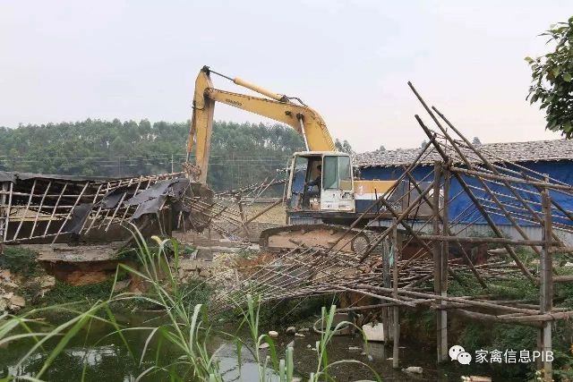 江苏甲鱼大棚养殖，探索高效养殖之路