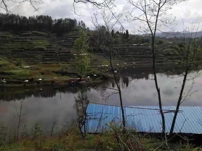 长江船舶网，连接江河，繁荣物流之桥