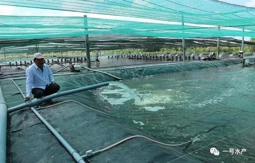车虾大棚养殖技术，高效、可持续的水产养殖新模式