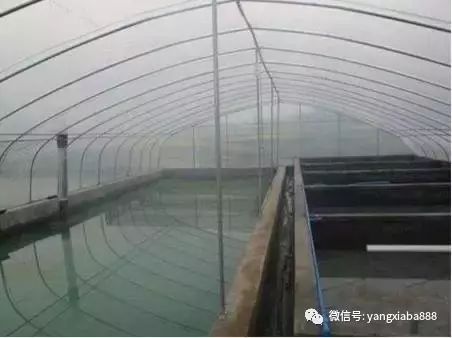 保温水产养殖大棚，现代水产养殖的新选择