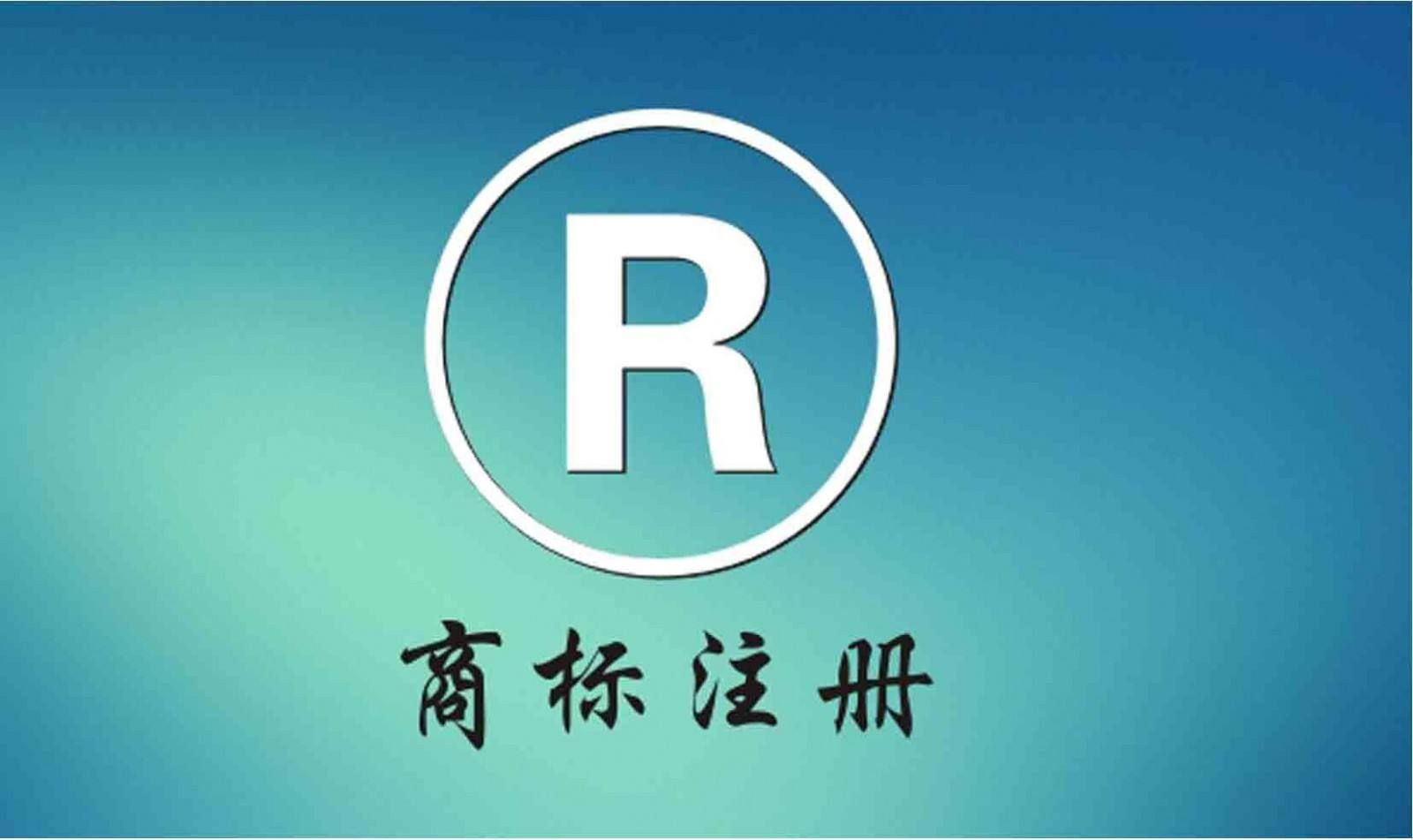 注册商标的图案要求，深入理解与有效应用