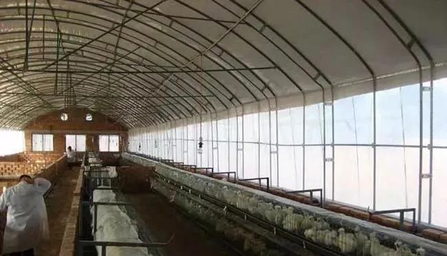 水产保温大棚，现代水产养殖的新选择