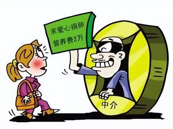 取卵后为什么不立即移植，深入解析原因与考量因素