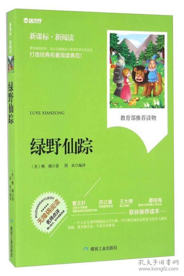 绿野仙踪书的价格，一本经典著作的价值探寻