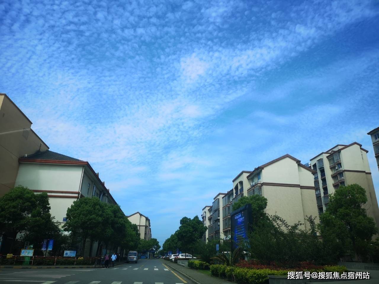 指纹自动门价格，深度解析与市场调研