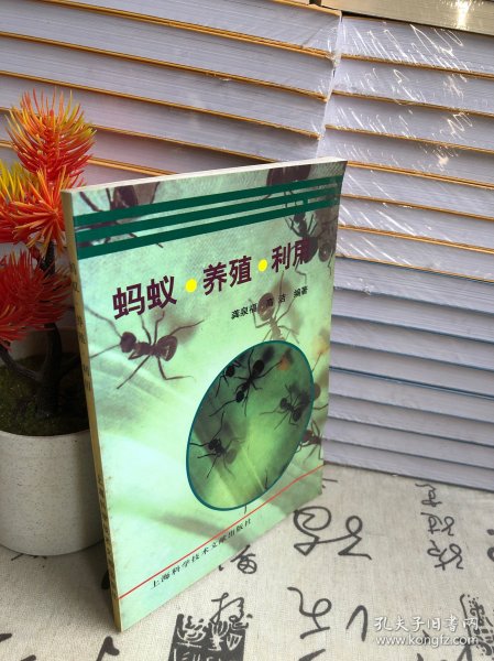 蚂蚁高效养殖技术一本通