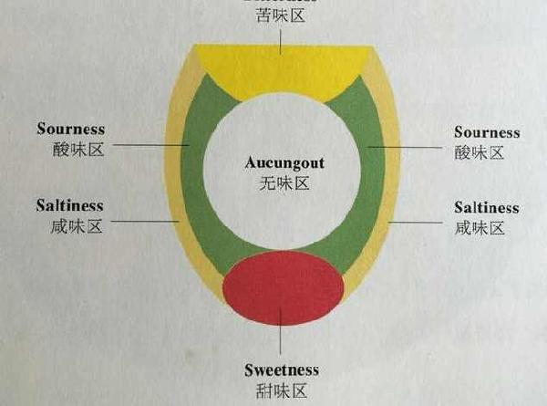 Neo欧版怎样验真假——深度解析鉴别方法与技巧